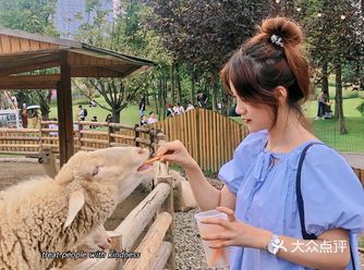 周末不宅家｜麓客岛农场放野游玩拍照