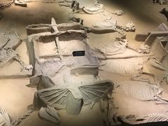 -洛阳周王城天子驾六博物馆