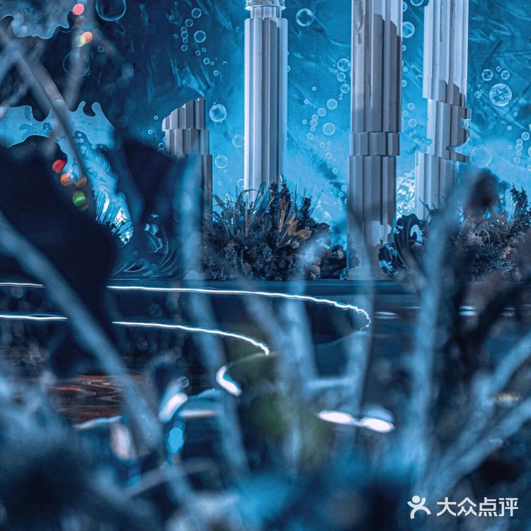 梦幻蓝色海洋风🌊在海底举办了一场婚礼