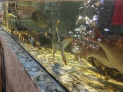 -巽寮印象美食部落餐厅·海鲜·地方特色菜(惠州体验店)