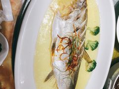 白鱼-扬浦大酒楼(平顶山路店)