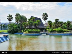 DSC_9722-上海棕榈滩海景酒店