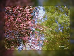 -重庆彩云湖湿地公园