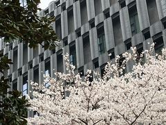 -苏州樊登书店·咖啡