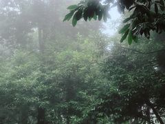 -周洛大峡谷