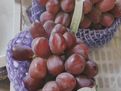 -马陆小张葡萄园农家乐