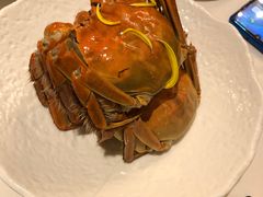 -南麓·浙里(外滩店)