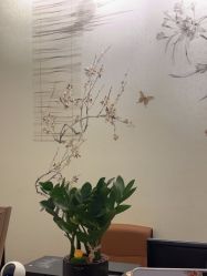 -后宫·古装汉服京剧儿童亲子全家福摄影