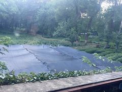 -野蔓果·山野菜(西湖景区·龙井茶田店)