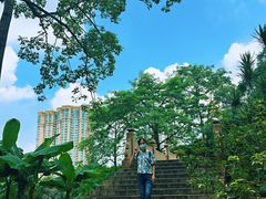 -晓港公园