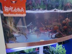-七欣天香辣蟹火锅(扬州望月路店)