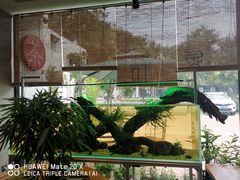 -北京七子郎韵普洱(通怀路店)