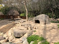 -上海野生动物园