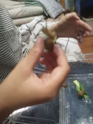 -安吉拉青春化管理中心