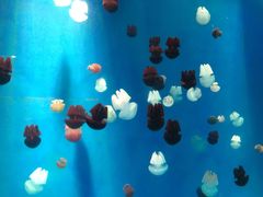 -石林冰雪海洋世界