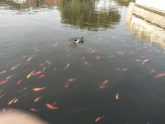 -西安汉城湖景区