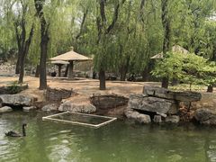 -石家庄市动物园