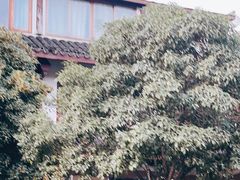 -杭州少年儿童公园