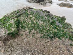 -嵊泗基湖沙滩