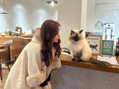 -有猫主题·治愈系猫咖(曾厝垵店)