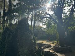 -林间山庄