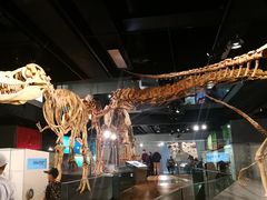 -墨尔本博物馆(Melbourne Museum)
