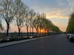 -伊犁河风景区