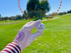 -北京京辉高尔夫俱乐部有限公司