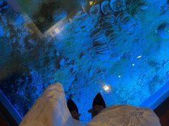 -贝林大翅鲸简餐厅(国家海洋博物馆店)