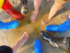 -北海金海湾红树林生态旅游区