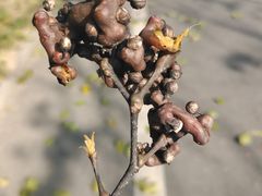 -天怡·鱼工厂(梅溪湖店)