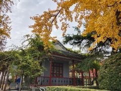 -南通博物苑-崇川人民公园