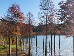 -名花谷生态庄园