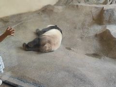 -宁波野生动物园