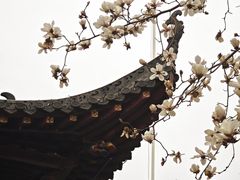 -长春观