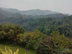 -雅安楠水阁温泉酒店