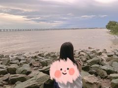 -宝安西湾红树林湿地公园