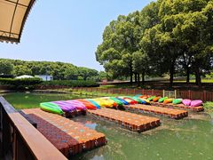 -东方绿舟景区