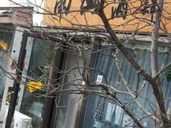 -南山酒肆(南山董事绘店)