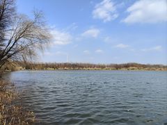 -溱湖国家湿地公园