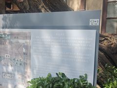 -静园(和平区)