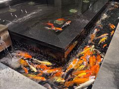 -弘安丽水温泉酒店