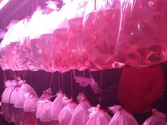 -中环花鸟鱼虫市场