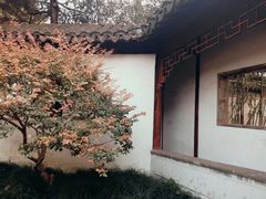 -秋霞圃