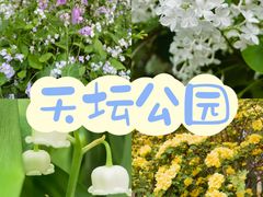 -天坛公园