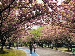 -苏州河梦清园环保主题公园