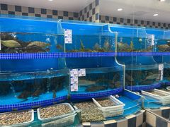 -新荟城(望京店)