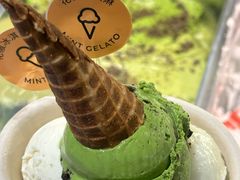 -Mint Gelato(二厂店)