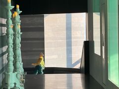 -郑州建业艾美酒店