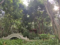 -深圳国际园林花卉博览园